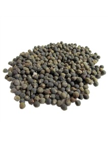 Gülsahra Bamya Tohumu Yağı 20 ml